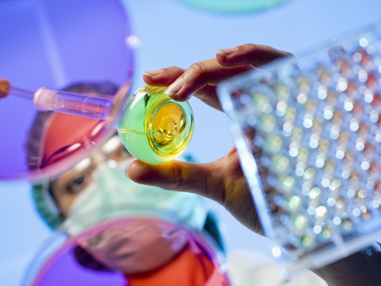 Research Chemicals NL